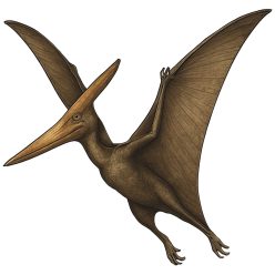 Pteranodon real kristálymatrica