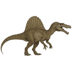Spinosaurus real kristálymatrica