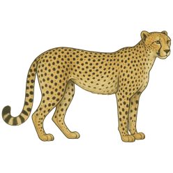 Gepárd kristálymatrica