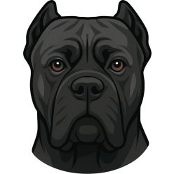 Cane corso fej kristálymatrica