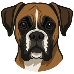Boxer kutyus fej kristálymatrica
