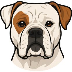 Bulldog fej kristálymatrica