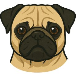 Mopsz fej kristálymatrica