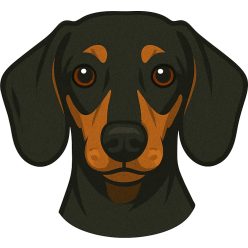 Tacskó fej kristálymatrica