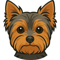 Yorkie fej kristálymatrica