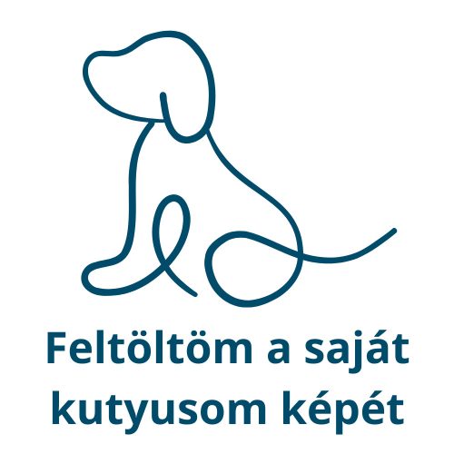 Saját kutyusom kristálymatrica